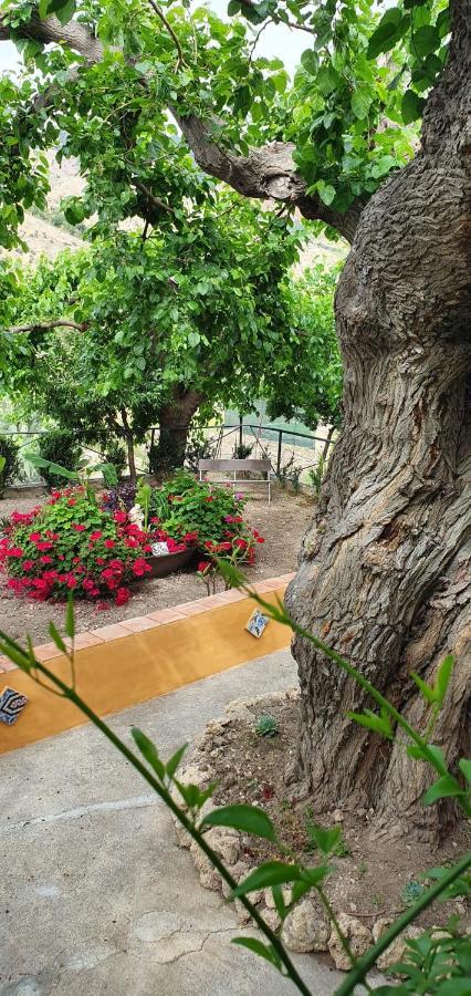 Casa Vacanze Fondaco Di Scillato Scillato  外观 照片