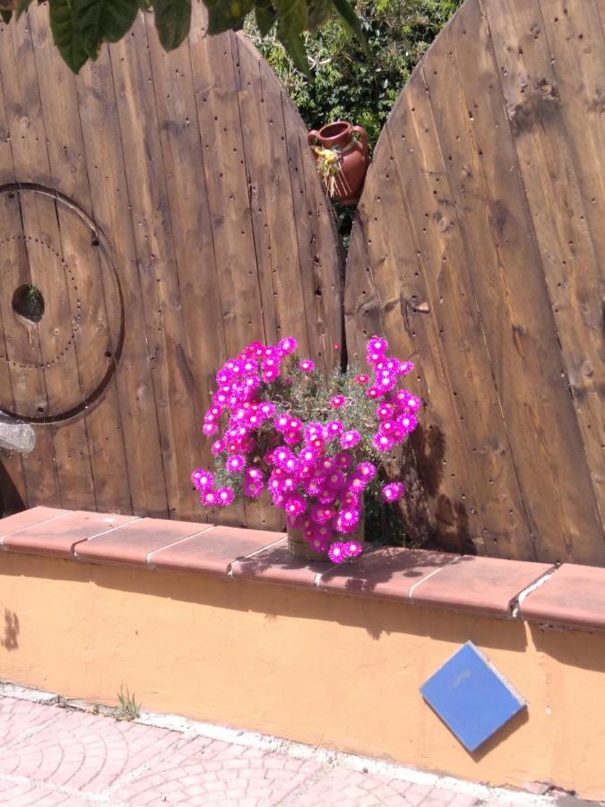 Casa Vacanze Fondaco Di Scillato Scillato  外观 照片