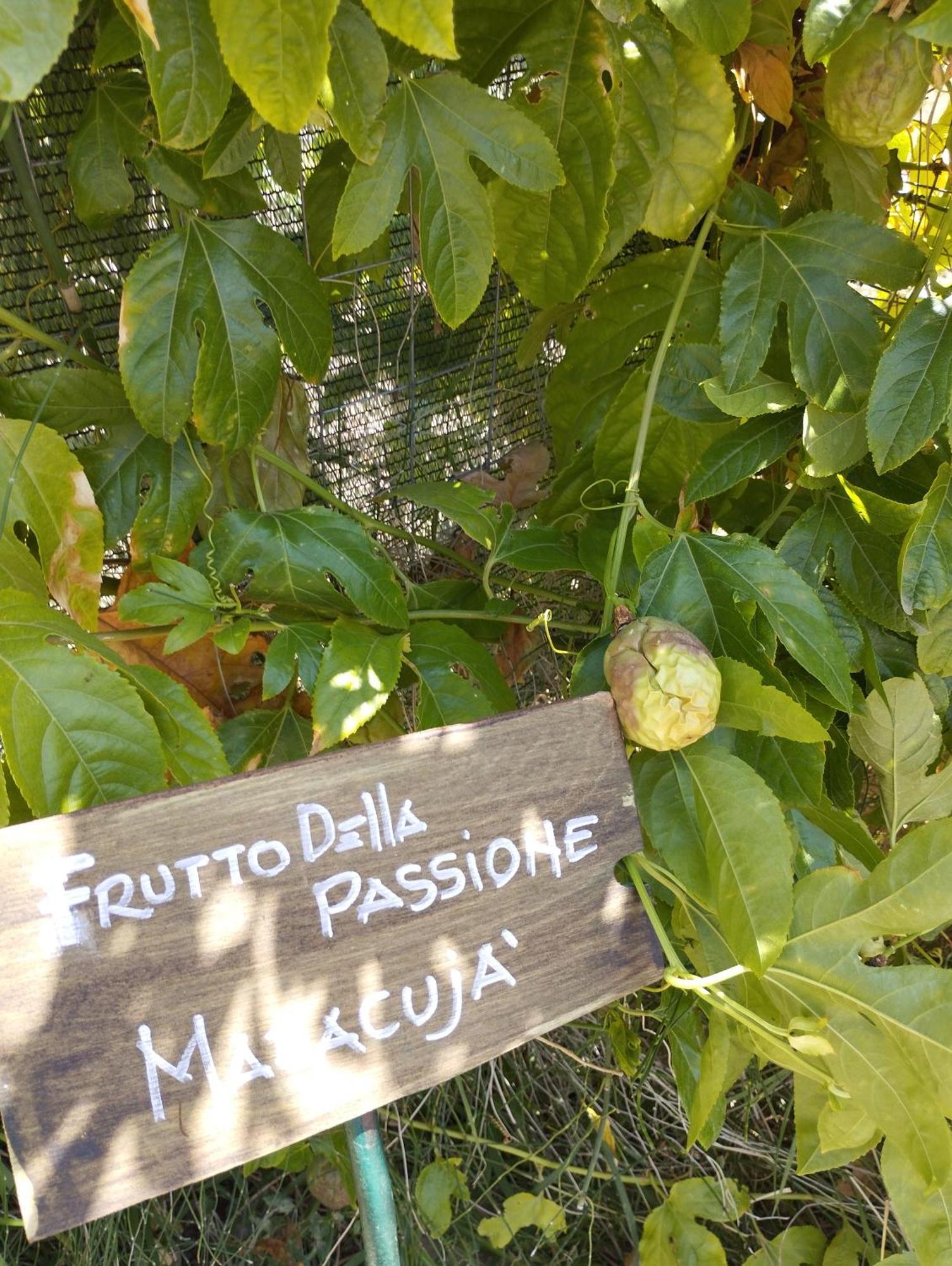 Casa Vacanze Fondaco Di Scillato Scillato  外观 照片