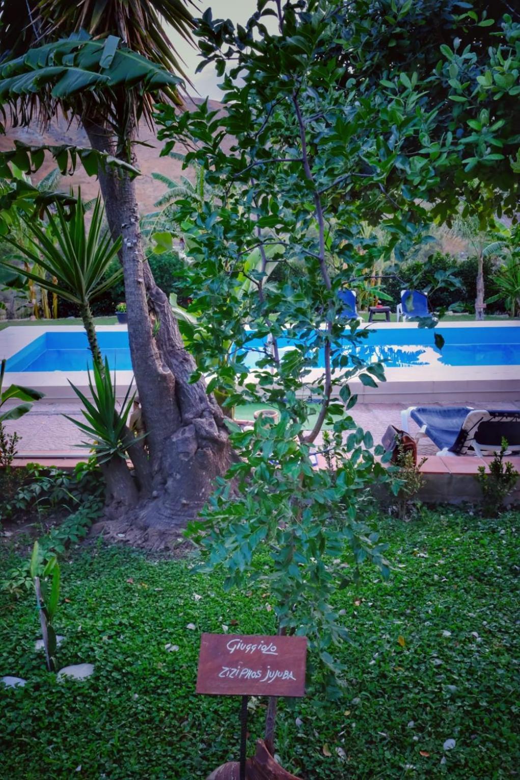 Casa Vacanze Fondaco Di Scillato Scillato  外观 照片